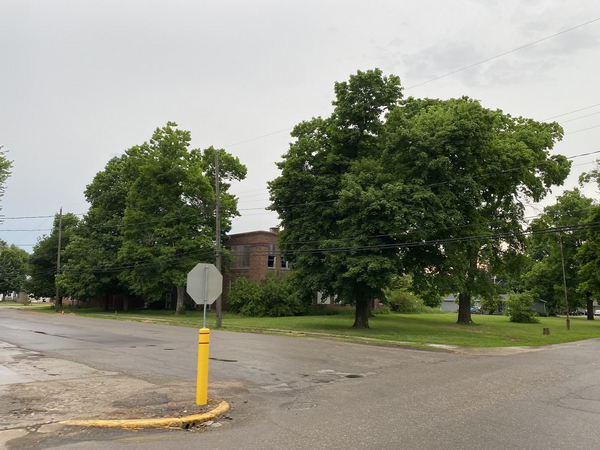 Elsie - May And June 2022 (newer photo)